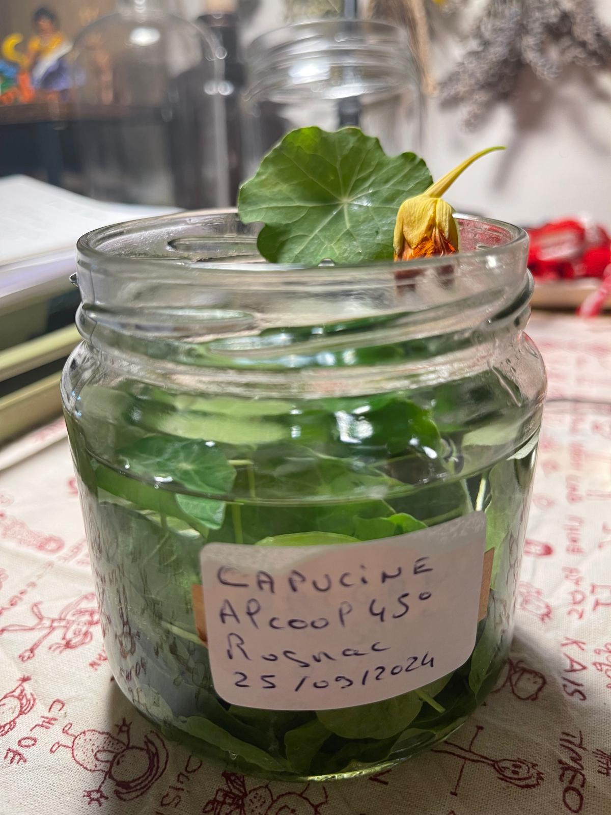 Bocal de macération de capucine étiqueté à la main dans l'atelier de Rognac