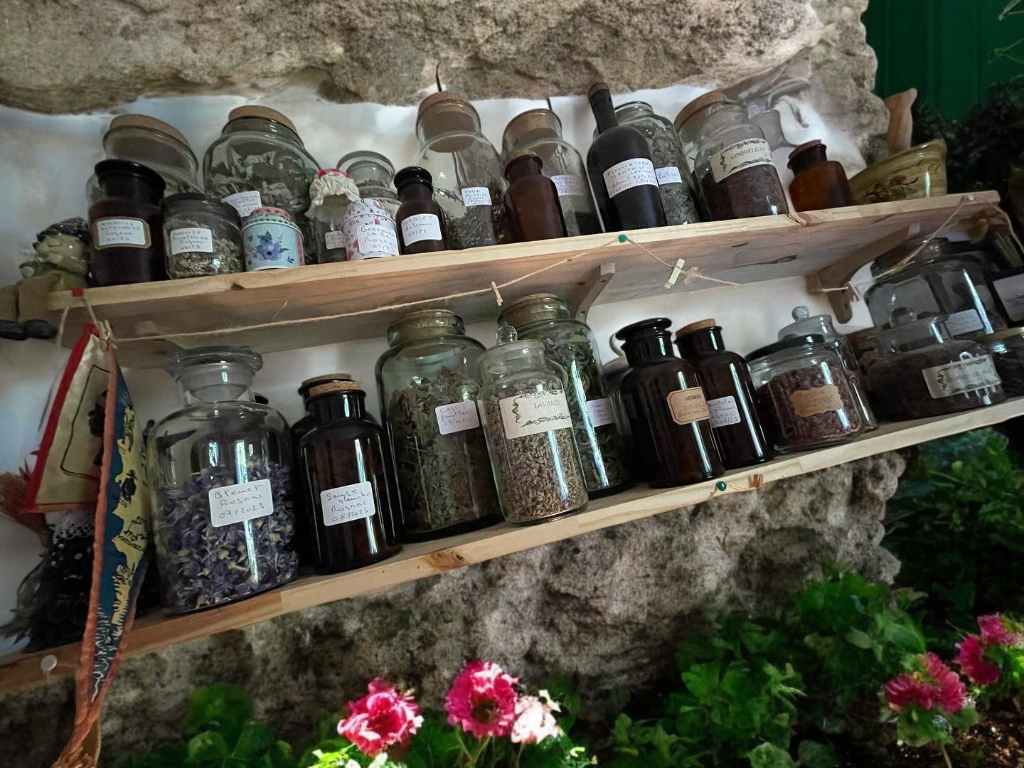 Plantes et huiles vertueuses