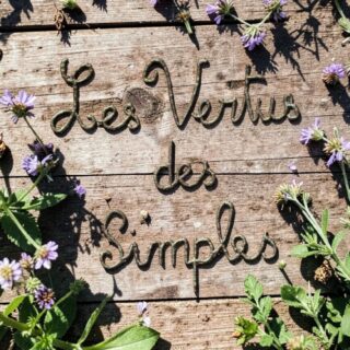 Séance de suivi